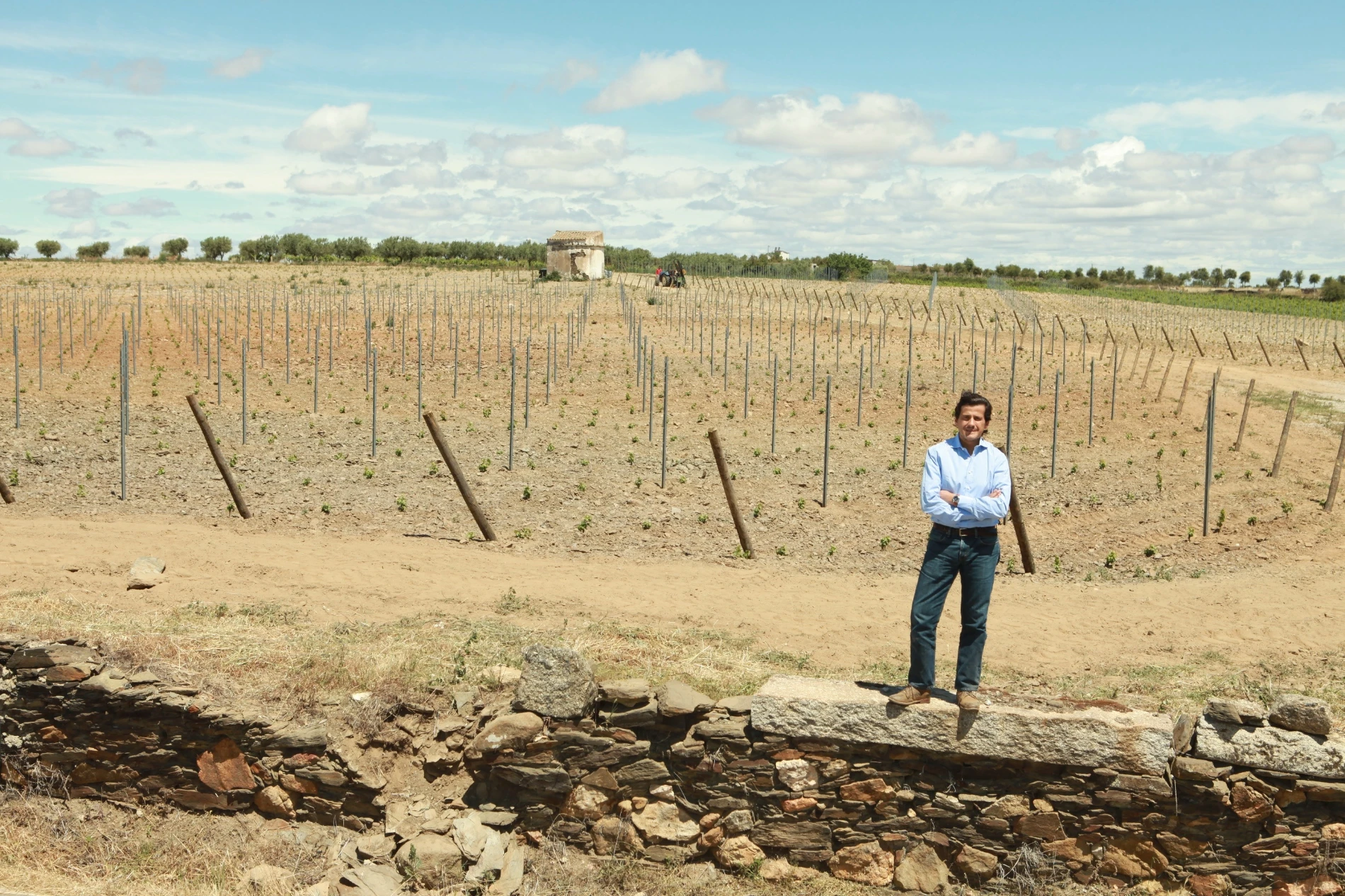 Plantação de vinhas na Beira Interior